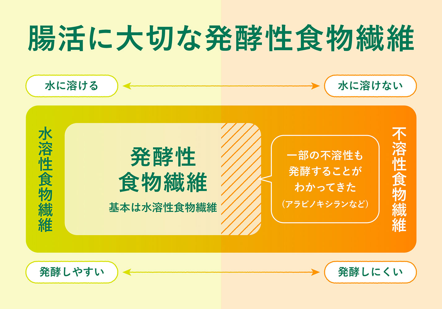 食物繊維なくして腸活なし