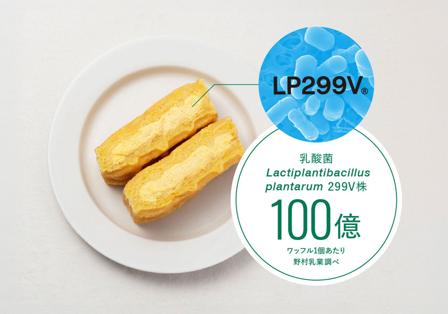LP299Vを100億個配合したマイ・フローラ ワッフル
